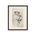 Picture of Vintage Flower IV _GroupedProduct_Rectangle_Portrait_Framed_Matted_