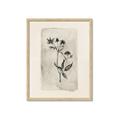 Picture of Vintage Flower IV _GroupedProduct_Rectangle_Portrait_Framed_Matted_