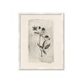 Picture of Vintage Flower IV _GroupedProduct_Rectangle_Portrait_Framed_Matted_