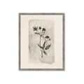 Picture of Vintage Flower IV _GroupedProduct_Rectangle_Portrait_Framed_Matted_