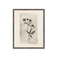 Picture of Vintage Flower IV _GroupedProduct_Rectangle_Portrait_Framed_Matted_