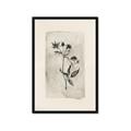 Picture of Vintage Flower IV _GroupedProduct_Rectangle_Portrait_Framed_Matted_