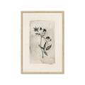 Picture of Vintage Flower IV _GroupedProduct_Rectangle_Portrait_Framed_Matted_