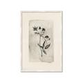 Picture of Vintage Flower IV _GroupedProduct_Rectangle_Portrait_Framed_Matted_