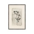 Picture of Vintage Flower IV _GroupedProduct_Rectangle_Portrait_Framed_Matted_