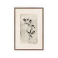 Picture of Vintage Flower IV _GroupedProduct_Rectangle_Portrait_Framed_Matted_
