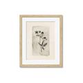 Picture of Vintage Flower IV _GroupedProduct_Rectangle_Portrait_Framed_Matted_