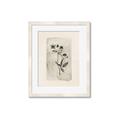 Picture of Vintage Flower IV _GroupedProduct_Rectangle_Portrait_Framed_Matted_