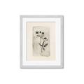 Picture of Vintage Flower IV _GroupedProduct_Rectangle_Portrait_Framed_Matted_
