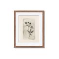Picture of Vintage Flower IV _GroupedProduct_Rectangle_Portrait_Framed_Matted_