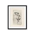 Picture of Vintage Flower IV _GroupedProduct_Rectangle_Portrait_Framed_Matted_