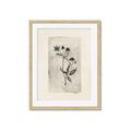 Picture of Vintage Flower IV _GroupedProduct_Rectangle_Portrait_Framed_Matted_