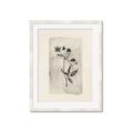 Picture of Vintage Flower IV _GroupedProduct_Rectangle_Portrait_Framed_Matted_