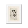 Picture of Vintage Flower IV _GroupedProduct_Rectangle_Portrait_Framed_Matted_