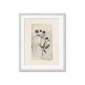 Picture of Vintage Flower IV _GroupedProduct_Rectangle_Portrait_Framed_Matted_
