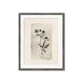 Picture of Vintage Flower IV _GroupedProduct_Rectangle_Portrait_Framed_Matted_