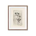 Picture of Vintage Flower IV _GroupedProduct_Rectangle_Portrait_Framed_Matted_