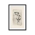Picture of Vintage Flower IV _GroupedProduct_Rectangle_Portrait_Framed_Matted_