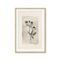 Picture of Vintage Flower IV _GroupedProduct_Rectangle_Portrait_Framed_Matted_