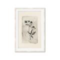 Picture of Vintage Flower IV _GroupedProduct_Rectangle_Portrait_Framed_Matted_