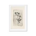 Picture of Vintage Flower IV _GroupedProduct_Rectangle_Portrait_Framed_Matted_