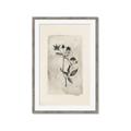Picture of Vintage Flower IV _GroupedProduct_Rectangle_Portrait_Framed_Matted_