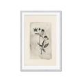 Picture of Vintage Flower IV _GroupedProduct_Rectangle_Portrait_Framed_Matted_