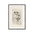 Picture of Vintage Flower IV _GroupedProduct_Rectangle_Portrait_Framed_Matted_