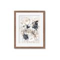 Picture of Petal Symphony II _GroupedProduct_Rectangle_Portrait_Framed_Matted_