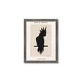 Picture of Vintage Cockatoo _GroupedProduct_Rectangle_Portrait_Framed_Matted_