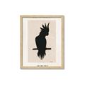 Picture of Vintage Cockatoo _GroupedProduct_Rectangle_Portrait_Framed_Matted_