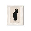 Picture of Vintage Cockatoo _GroupedProduct_Rectangle_Portrait_Framed_Matted_
