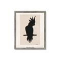 Picture of Vintage Cockatoo _GroupedProduct_Rectangle_Portrait_Framed_Matted_