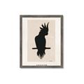 Picture of Vintage Cockatoo _GroupedProduct_Rectangle_Portrait_Framed_Matted_