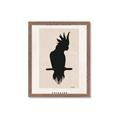 Picture of Vintage Cockatoo _GroupedProduct_Rectangle_Portrait_Framed_Matted_