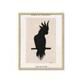 Picture of Vintage Cockatoo _GroupedProduct_Rectangle_Portrait_Framed_Matted_