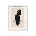 Picture of Vintage Cockatoo _GroupedProduct_Rectangle_Portrait_Framed_Matted_