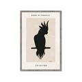 Picture of Vintage Cockatoo _GroupedProduct_Rectangle_Portrait_Framed_Matted_