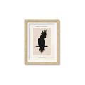 Picture of Vintage Cockatoo _GroupedProduct_Rectangle_Portrait_Framed_Matted_