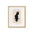 Picture of Vintage Cockatoo _GroupedProduct_Rectangle_Portrait_Framed_Matted_