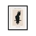 Picture of Vintage Cockatoo _GroupedProduct_Rectangle_Portrait_Framed_Matted_