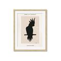 Picture of Vintage Cockatoo _GroupedProduct_Rectangle_Portrait_Framed_Matted_