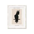 Picture of Vintage Cockatoo _GroupedProduct_Rectangle_Portrait_Framed_Matted_