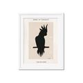 Picture of Vintage Cockatoo _GroupedProduct_Rectangle_Portrait_Framed_Matted_