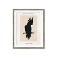 Picture of Vintage Cockatoo _GroupedProduct_Rectangle_Portrait_Framed_Matted_