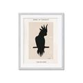 Picture of Vintage Cockatoo _GroupedProduct_Rectangle_Portrait_Framed_Matted_