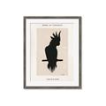 Picture of Vintage Cockatoo _GroupedProduct_Rectangle_Portrait_Framed_Matted_