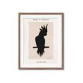 Picture of Vintage Cockatoo _GroupedProduct_Rectangle_Portrait_Framed_Matted_