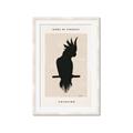 Picture of Vintage Cockatoo _GroupedProduct_Rectangle_Portrait_Framed_Matted_