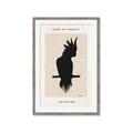 Picture of Vintage Cockatoo _GroupedProduct_Rectangle_Portrait_Framed_Matted_